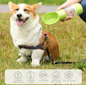 Portable Water Dispenser / Food Compartment