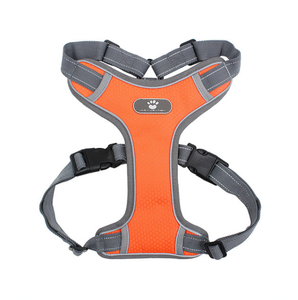 Adjustable Dog Harness