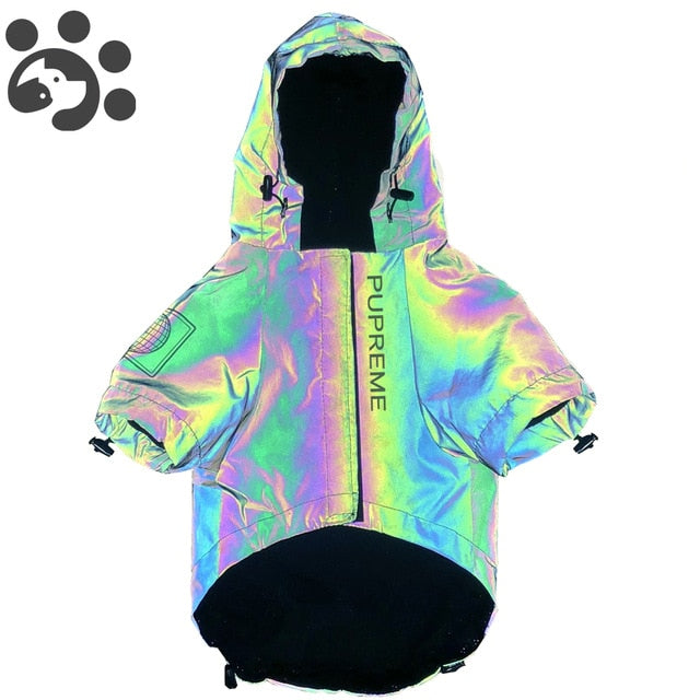 Dog Windbreaker Hoodie