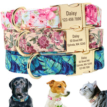 Load image into Gallery viewer, Personalized Custom Nameplate Collar
