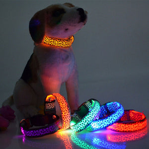 3 Mode LED Dog Collar