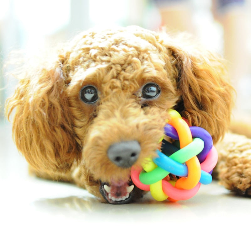 Bouncy Rainbow Chew Toy