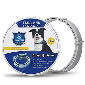 Pet Flea Collar