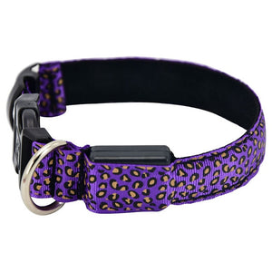 3 Mode LED Dog Collar