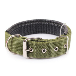 Adjustable Nylon Strap Dog Collar