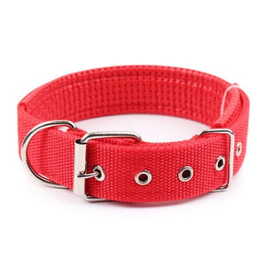 Adjustable Nylon Strap Dog Collar