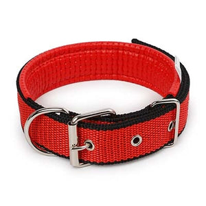 Adjustable Nylon Strap Dog Collar