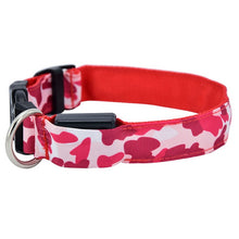 Load image into Gallery viewer, LED Dog Collar
