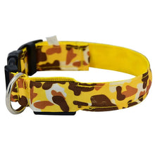 Load image into Gallery viewer, LED Dog Collar
