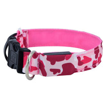 Load image into Gallery viewer, LED Dog Collar
