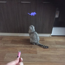 Load image into Gallery viewer, Cat Toy LED Pointer Mouse
