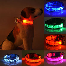 Load image into Gallery viewer, LED Dog Collar
