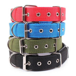 Adjustable Nylon Strap Dog Collar