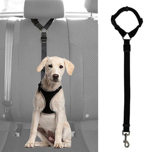 Car Headrest Safety Leash